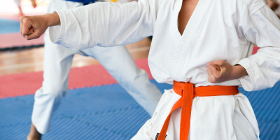 Formación homologada Postgrado en Coach Deportivo para Monitores de Karate + Titulacií³n Universitaria