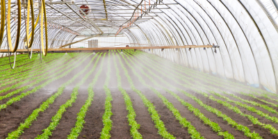 Master en Gestión y Producción Agropecuaria + Titulación Universitaria en Seguridad Alimentaria